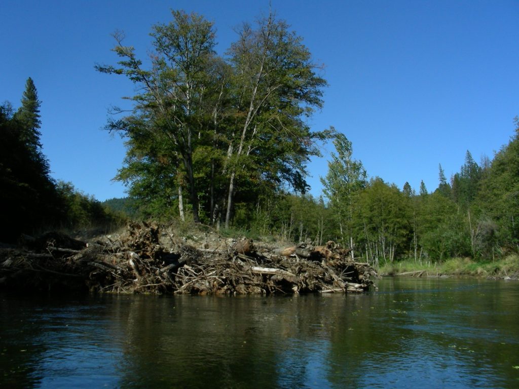 Creation of new habitat complexity around an island through the installation of logs and other instream structures, another key type of restoration pursued as part of the Trinity River Restoration Program.