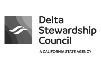DSC